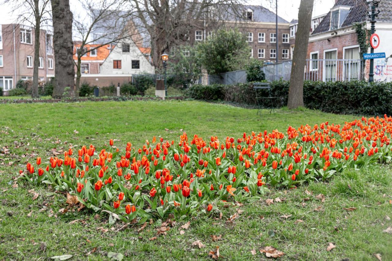 فيلا Haarlem Vineyard House المظهر الخارجي الصورة